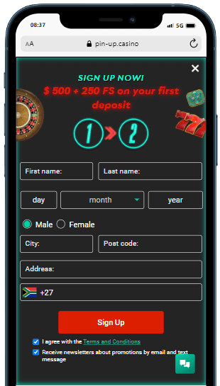 registration form on Pin Up casino